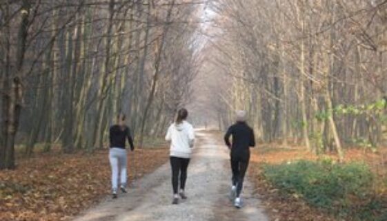 Purpose and Values – Looking Ahead Together