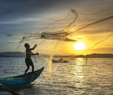 fishing Net-3062034_1920