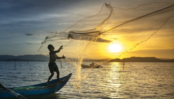 fishing Net-3062034_1920