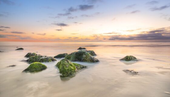 beach-front-5819728_1920